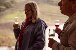 Desde Las Palmas: Excursión de un día por el Norte