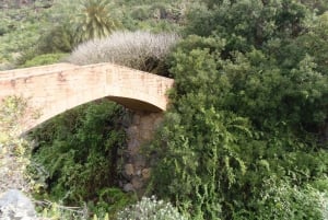 Desde Las Palmas: Excursión de un día por el Norte