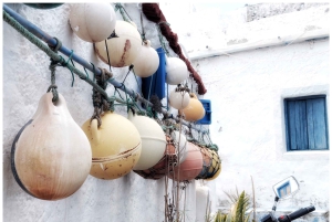 Desde Las Palmas: Excursión de un día por el Norte