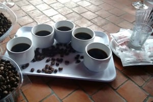 Desde Las Palmas: Excursión de un día por el Norte