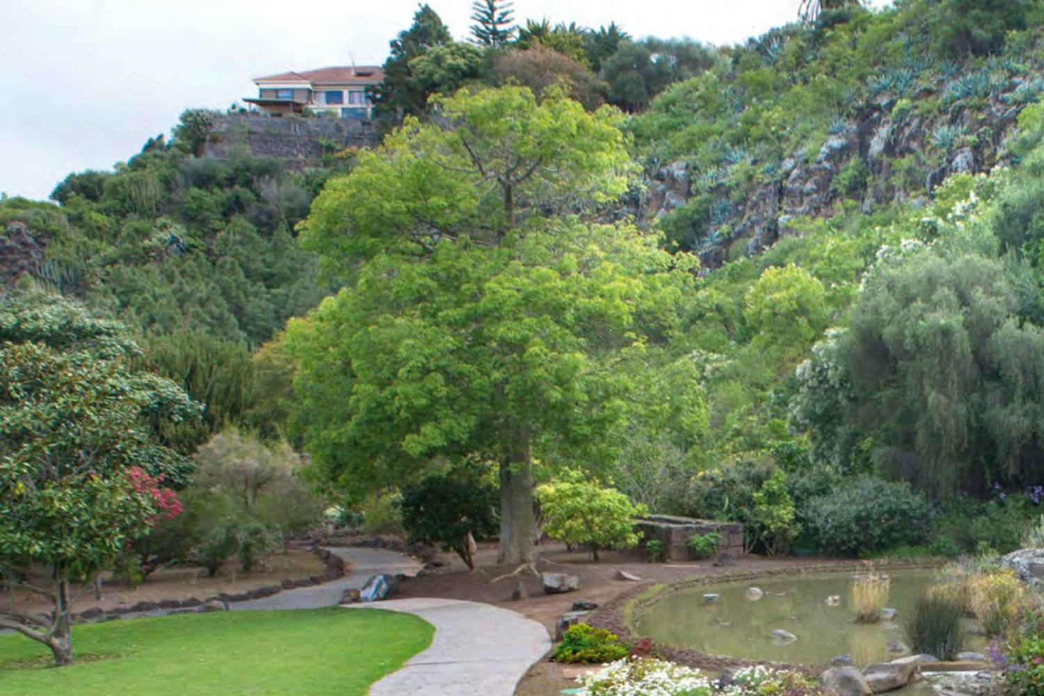 From Las Palmas: Half day tour Volcano Bandama & Vineyard