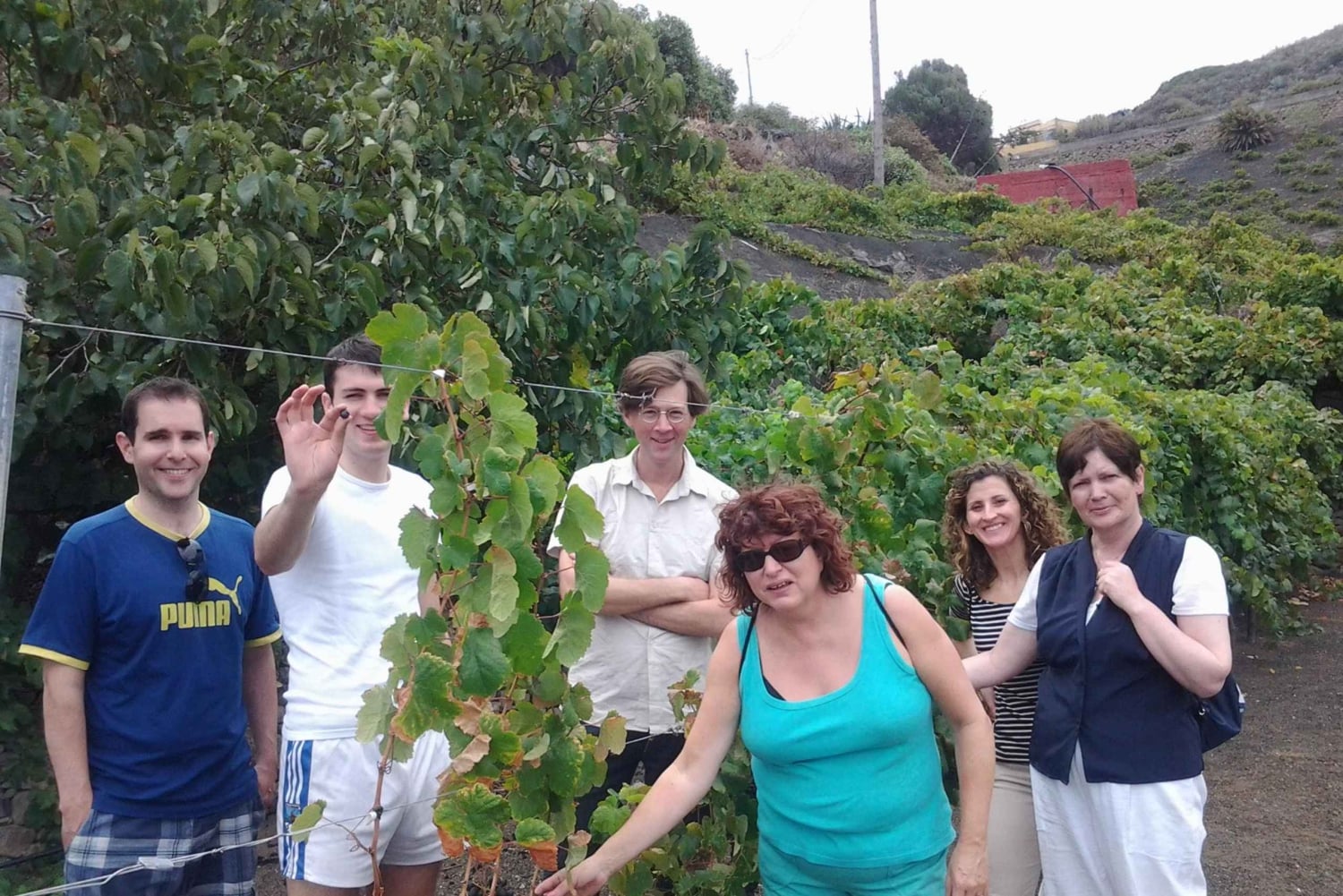 From Las Palmas: Half day tour Volcano Bandama & Vineyard