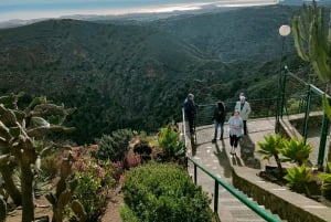 From Las Palmas: Half day tour Volcano Bandama & Vineyard