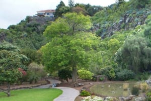 From Las Palmas: Half day tour Volcano Bandama & Vineyard