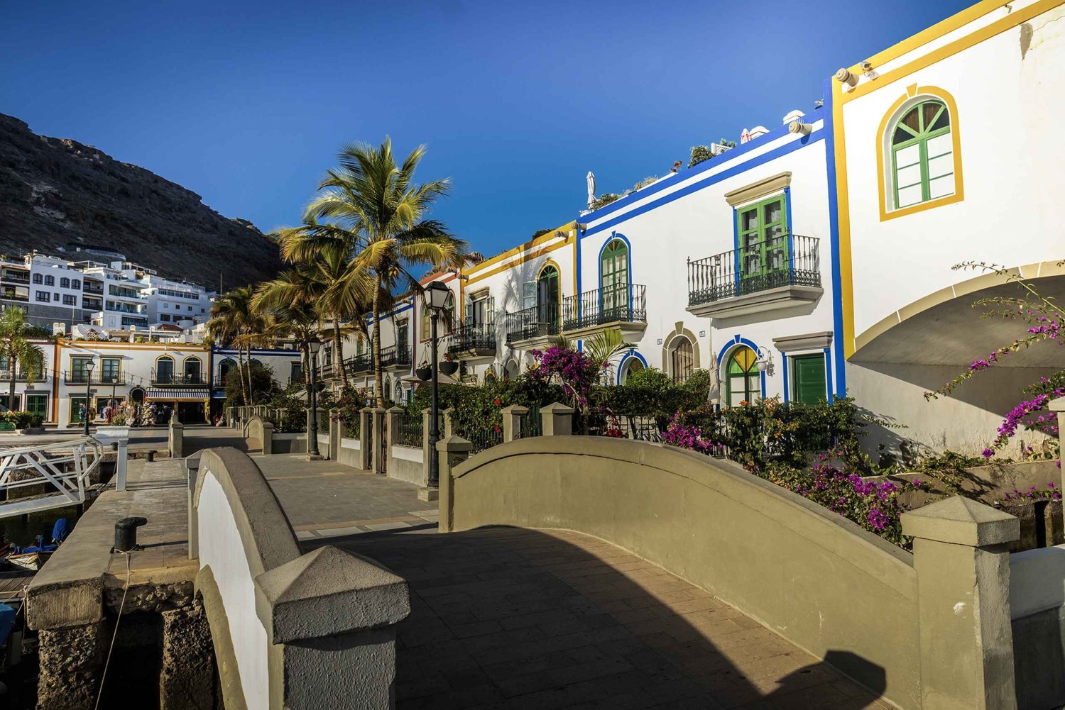 From Las Palmas: Fataga, Aloe Vera Farm, and Puerto de Mogán Market