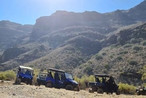 From Maspalomas: Volcanic Landscapes 4-Seater Buggy Tour