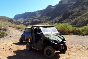 From Maspalomas: Volcanic Landscapes 4-Seater Buggy Tour