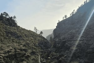 From Maspalomas: Volcanic Landscapes 4-Seater Buggy Tour