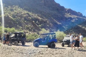 From Maspalomas: Volcanic Landscapes 4-Seater Buggy Tour