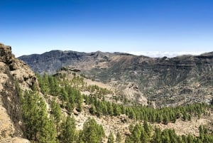 Desde Mogán/Maspalomas: Gran Canaria desde las Alturas y Vistas Increíbles