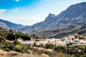 Desde Mogán/Maspalomas: Gran Canaria desde las Alturas y Vistas Increíbles