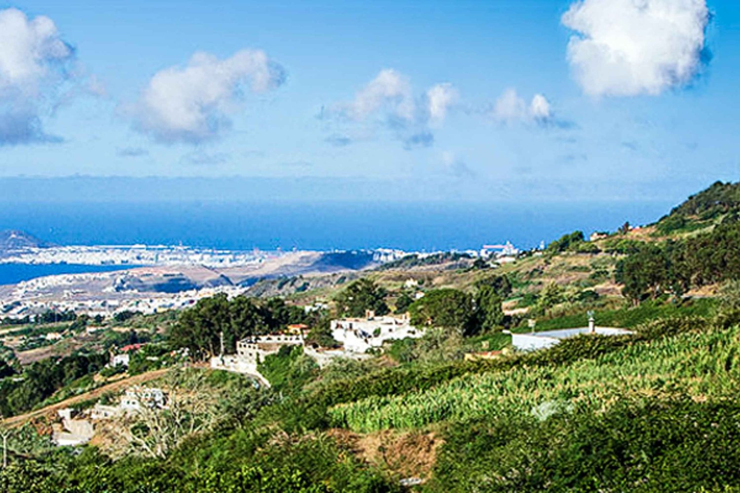 From the south and Las Palmas to: Santa Brígida, San Mateo and Teror Markets.