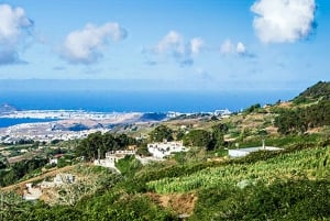 Desde el sur y Las Palmas hacia: Santa Brígida, San Mateo y Teror Markets