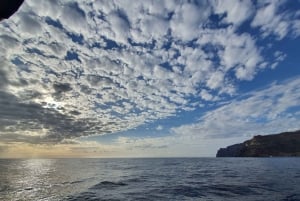 Desde Puerto de Mogán: Excursión Privada en Velero y Snorkel