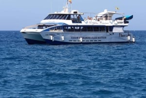 From Puerto Rico: Boat trip along the coast w/ Food & Drinks