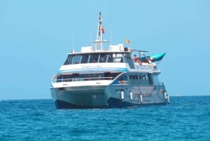 From Puerto Rico: Boat trip along the coast w/ Food & Drinks