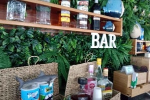 From Puerto Rico: Boat trip along the coast w/ Food & Drinks