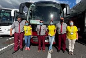 Desde Tenerife: excursión de un día a los paisajes volcánicos de La Palma