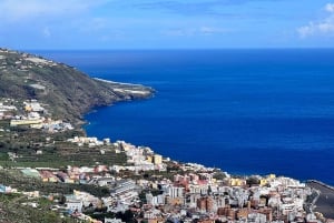 Desde Tenerife: excursión de un día a los paisajes volcánicos de La Palma