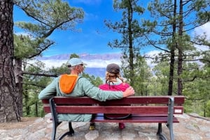 Desde Tenerife: excursión de un día a los paisajes volcánicos de La Palma