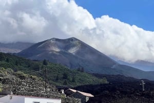 Desde Tenerife: excursión de un día a los paisajes volcánicos de La Palma