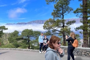 Desde Tenerife: excursión de un día a los paisajes volcánicos de La Palma