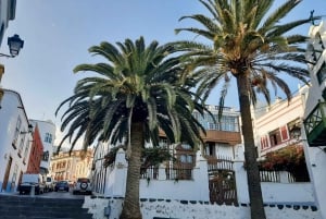 Desde Tenerife: excursión de un día a los paisajes volcánicos de La Palma