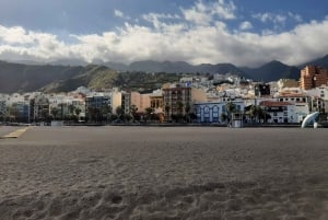 Desde Tenerife: excursión de un día a los paisajes volcánicos de La Palma