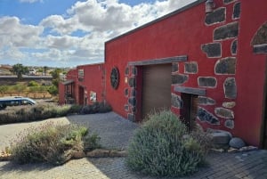 Fuerteventa: Excursión de medio día a las Cuevas Piratas de Ajuy y la Fábrica de Aloe