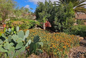 Fuerteventa: Excursión de medio día a las Cuevas Piratas de Ajuy y la Fábrica de Aloe