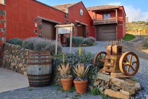 Fuerteventa: Ajuy Pirate Caves & Aloe Factory Half-Day Trip