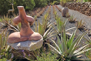 Fuerteventa: Ajuy Pirate Caves & Aloe Factory Half-Day Trip