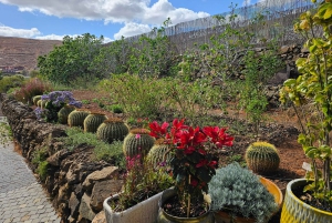 Fuerteventa: Ajuy Pirate Caves & Aloe Factory Half-Day Trip