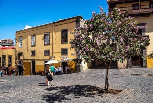 Full Day Private Tour in Las Palmas from Gran Canaria Port