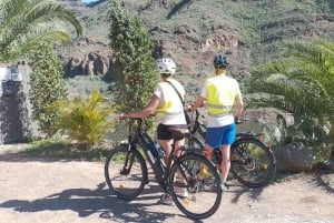 Alquiler de 1-7 días de E-Bike 80 km de autonomía de batería