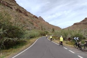 Gran Canaria: 1-7 Day E-Bike Rental 80 km battery life