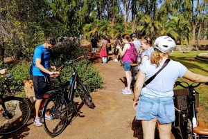 Gran Canaria: 1-7 Day E-Bike Rental 80 km battery life