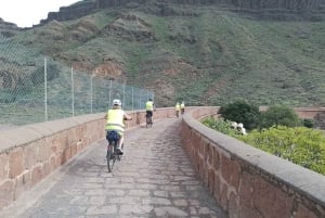 Gran Canaria: 1-7 Day E-Bike Rental 80 km battery life