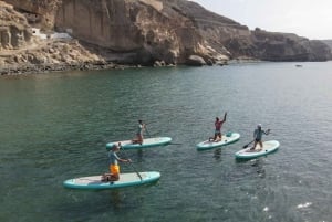Gran Canaria : 2h Stand Up Paddle board lessons