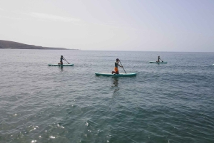 Gran Canaria : 2h Stand Up Paddle board lessons