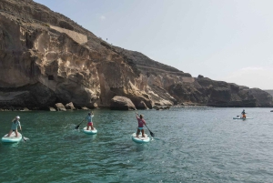 Gran Canaria : 2h Stand Up Paddle board lessons