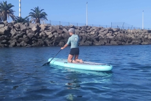 Gran Canaria : 2h Stand Up Paddle board lessons