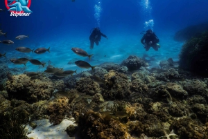 Gran Canaria: 3-Day Open Water Diver Course
