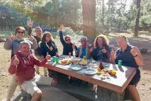 Gran Canaria 7 Puntos Destacados tour en grupo reducido con picnic de tapas