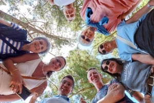 Gran Canaria 7 Puntos Destacados tour en grupo reducido con picnic de tapas
