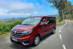 Gran Canaria 7 Puntos Destacados tour en grupo reducido con picnic de tapas