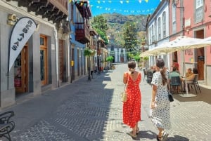 Gran Canaria 7 Puntos Destacados tour en grupo reducido con picnic de tapas