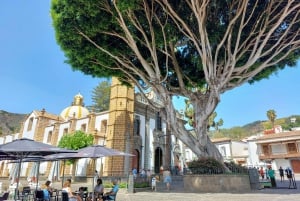 Gran Canaria 7 Puntos Destacados tour en grupo reducido con picnic de tapas
