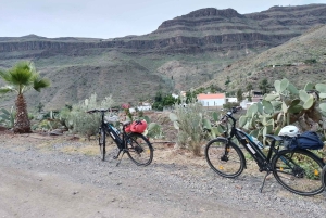 Gran Canaria: 8 Hour - 7 Day E-Bike Rental 80km battery life