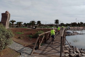 Gran Canaria: 8 Hour - 7 Day E-Bike Rental 80km battery life